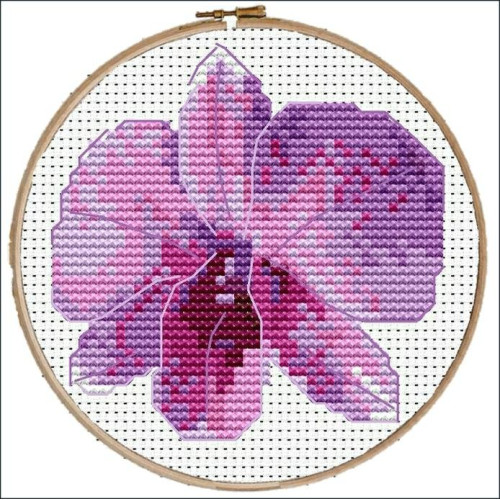 Cooktown Orchid cross stitch pattern PDF by Mary Elizabeth